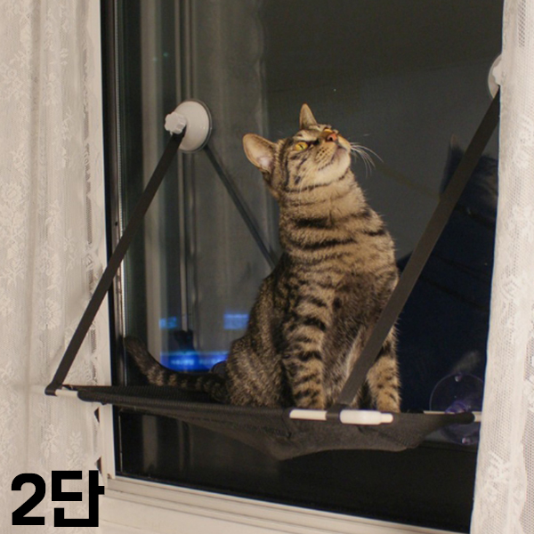[JT] 뚜또가또 고양이 윈도우 튼튼 해먹 2단